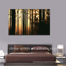 Impressive Sunrise Forest Picture Canvas Print